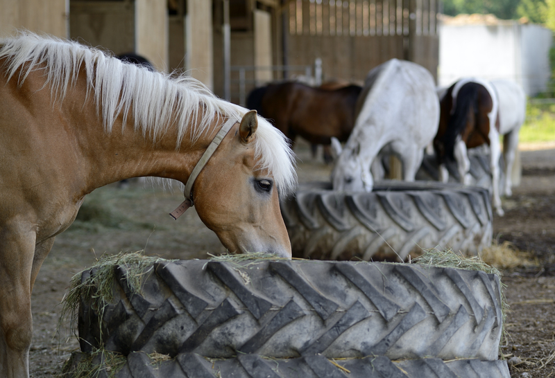 From Household to Industrial: What Waste Turns Hazardous